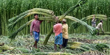 ಕಬ್ಬು ಬೆಳೆಗಾರರ ಹೋರಾಟ 4ನೇ ದಿನಕ್ಕೆ: ನಾಳೆ ಮಧ್ಯಾಹ್ನ 3 ಗಂಟೆಯವರೆಗೆ ಸರ್ಕಾರಕ್ಕೆ ಡೆಡ್‌ಲೈನ್!