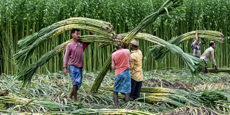 ಕಬ್ಬು ಬೆಳೆಗಾರರ ಹೋರಾಟ 4ನೇ ದಿನಕ್ಕೆ: ನಾಳೆ ಮಧ್ಯಾಹ್ನ 3 ಗಂಟೆಯವರೆಗೆ ಸರ್ಕಾರಕ್ಕೆ ಡೆಡ್‌ಲೈನ್!