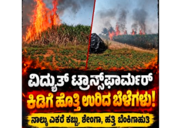 ವಿದ್ಯುತ್ ಟ್ರಾನ್ಸ್ಫಾರ್ಮರ್ ಕಿಡಿಗೆ ಹೊತ್ತಿ ಉರಿದ ಬೆಳೆಗಳು