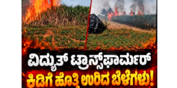 ವಿದ್ಯುತ್ ಟ್ರಾನ್ಸ್‌ಫಾರ್ಮರ್ ಕಿಡಿಗೆ ಹೊತ್ತಿ ಉರಿದ ಬೆಳೆಗಳು