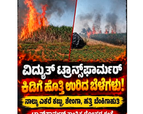 ವಿದ್ಯುತ್ ಟ್ರಾನ್ಸ್ಫಾರ್ಮರ್ ಕಿಡಿಗೆ ಹೊತ್ತಿ ಉರಿದ ಬೆಳೆಗಳು